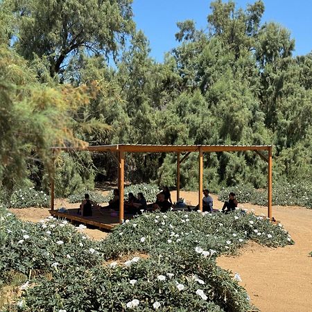 Rancho Dominique Valle De Guadalupe Valle de Guadalupe Exterior foto