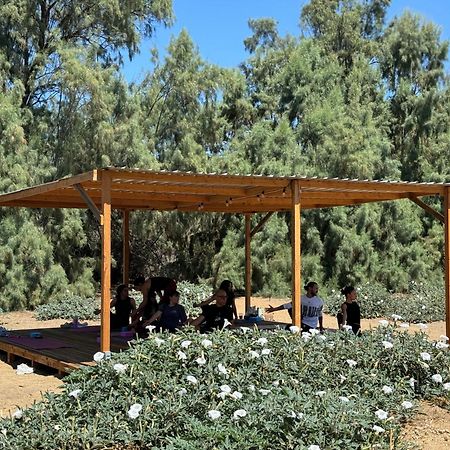 Rancho Dominique Valle De Guadalupe Valle de Guadalupe Exterior foto