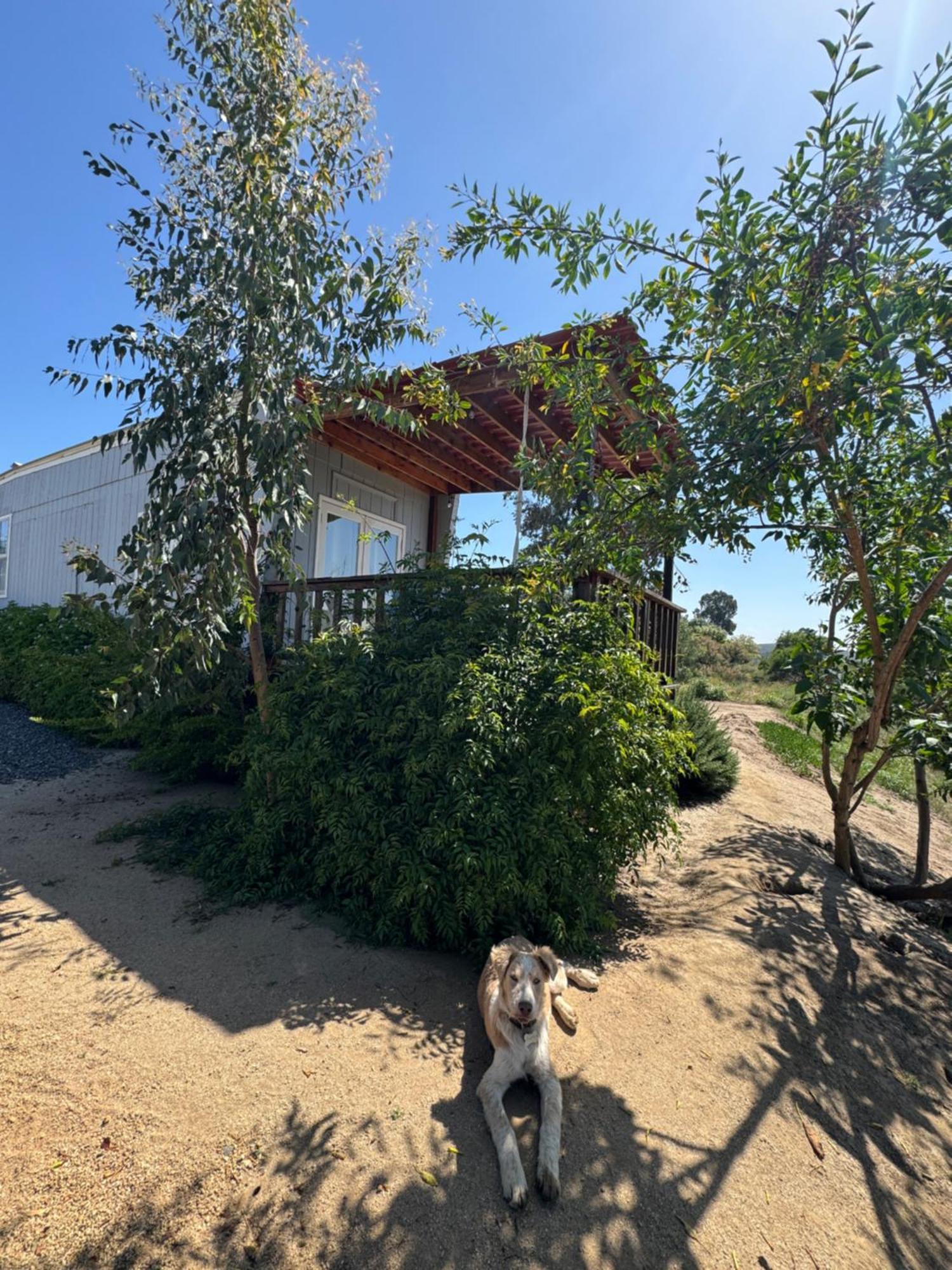 Rancho Dominique Valle De Guadalupe Valle de Guadalupe Exterior foto