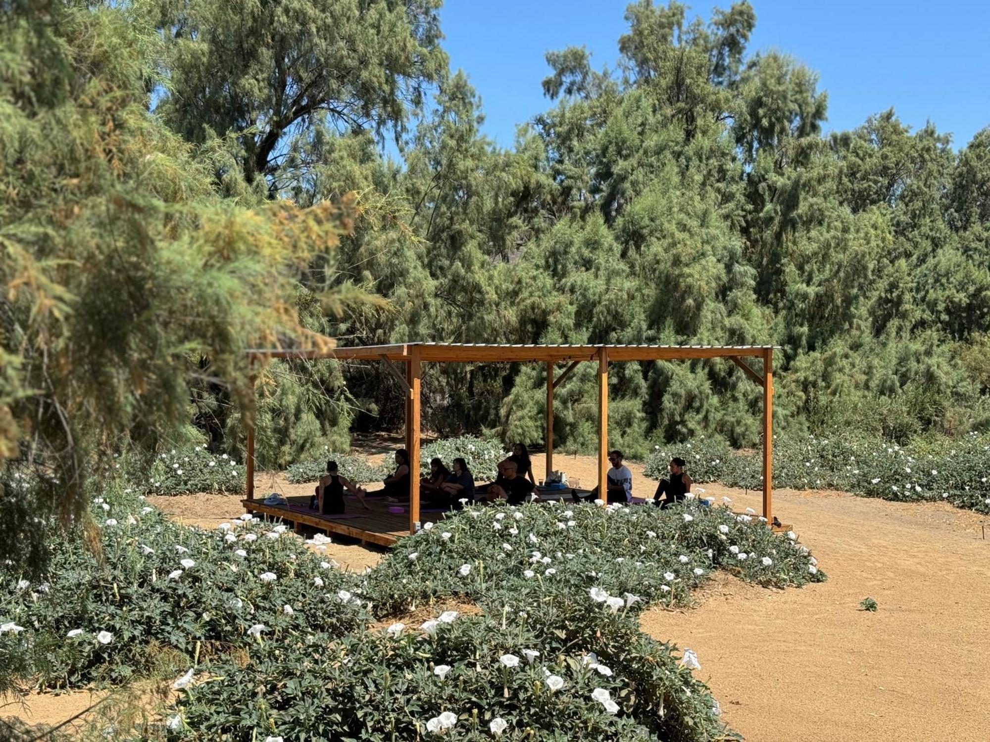 Rancho Dominique Valle De Guadalupe Valle de Guadalupe Exterior foto