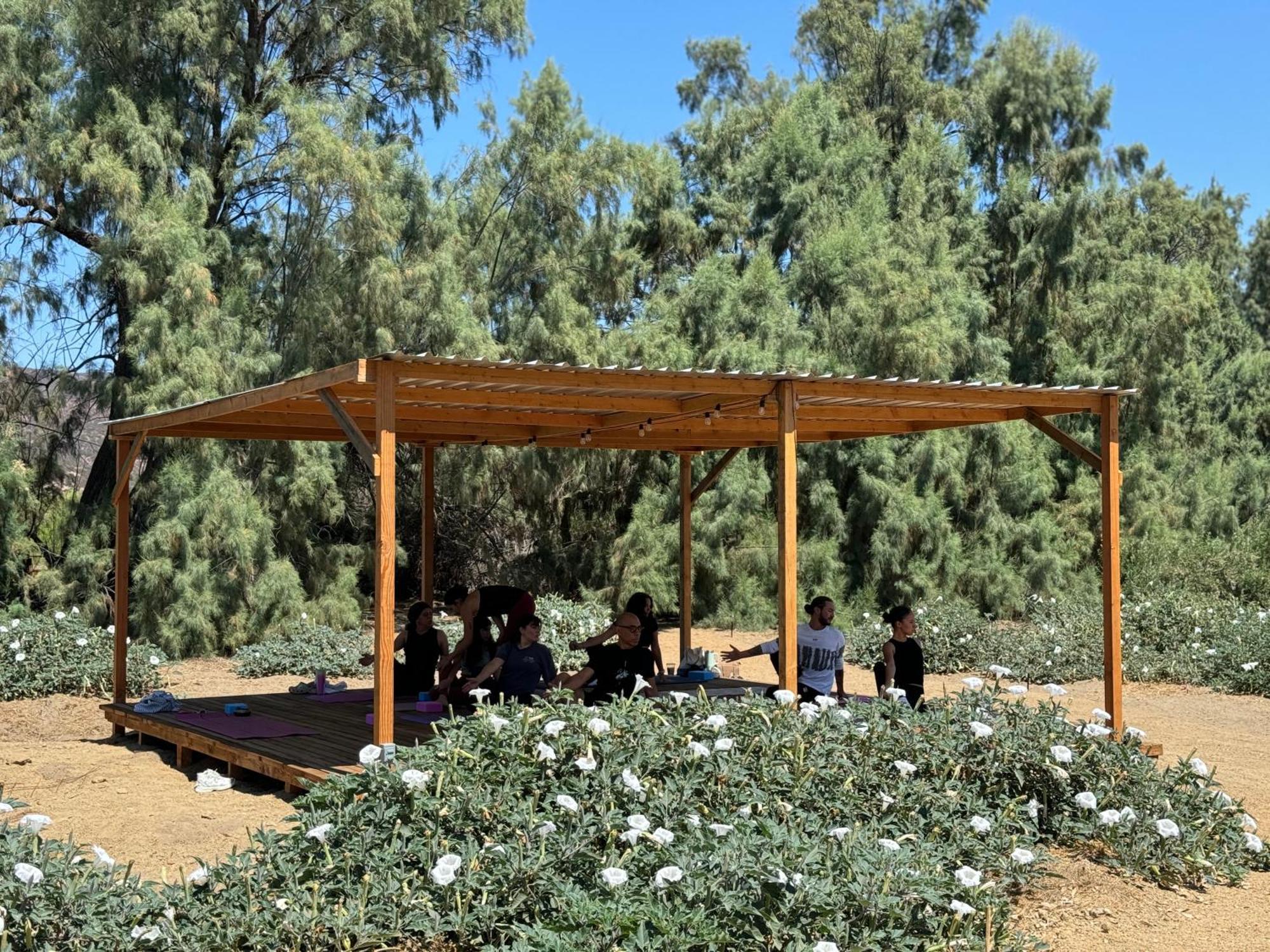 Rancho Dominique Valle De Guadalupe Valle de Guadalupe Exterior foto